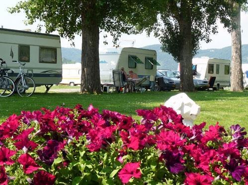 Campingpark Sonneneeck | &copy; Campingplatz Sonneneck