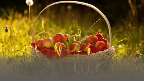 Obstkorb | &copy; &copy;Klaus Peter Kappes Verbandsgemeinde Wei&szlig;enthurm