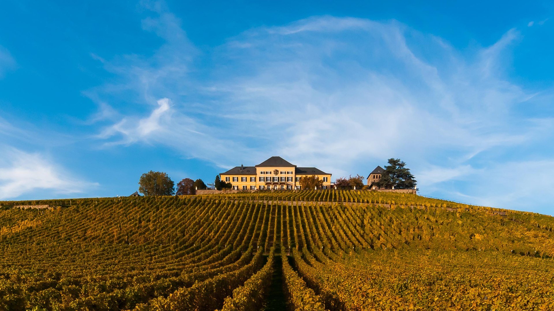 Schloss Johannisberg | © Schloss Johannisberg Schloss Johannisberg | © Schloss Johannisberg