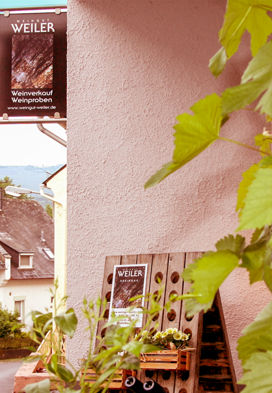 Wijnmakerij Weiler | &copy; Weingut Weiler
