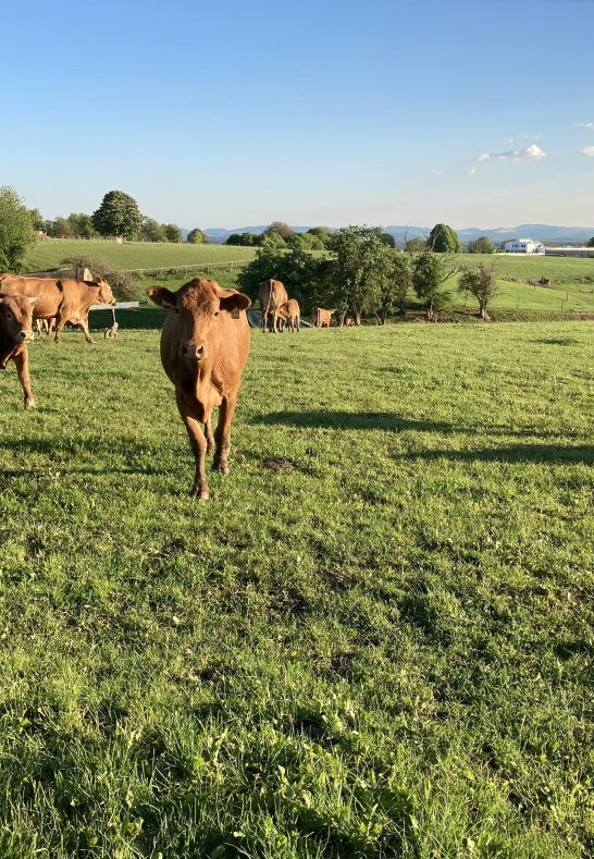 Brückners Lädchen4 | © Manfred und PIa Brückner Brückners Lädchen4 | © Manfred und PIa Brückner