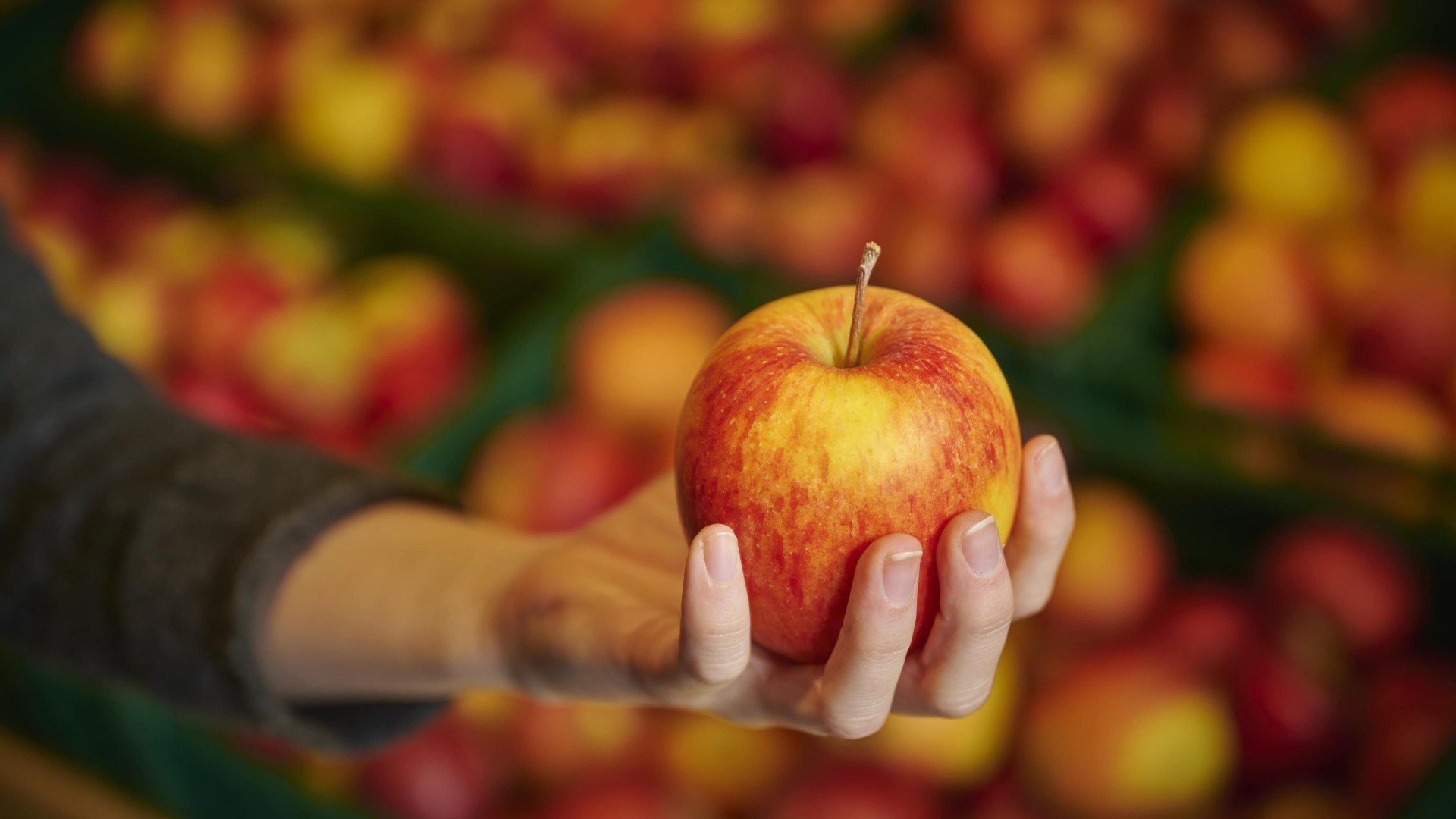 Hofladen | &copy; Klaus-Peter Kappest