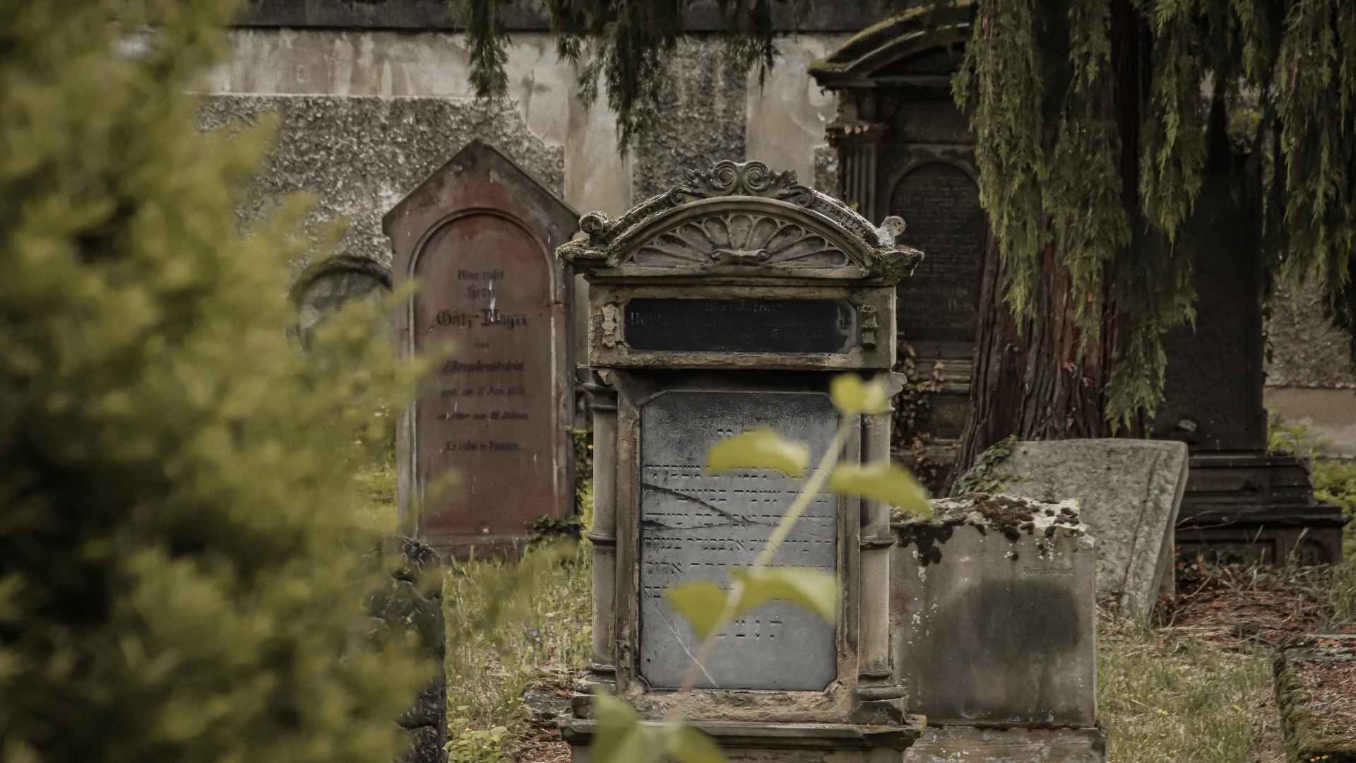 Jüdischer Friedhof Koblenz | © Johannes Bruchhof