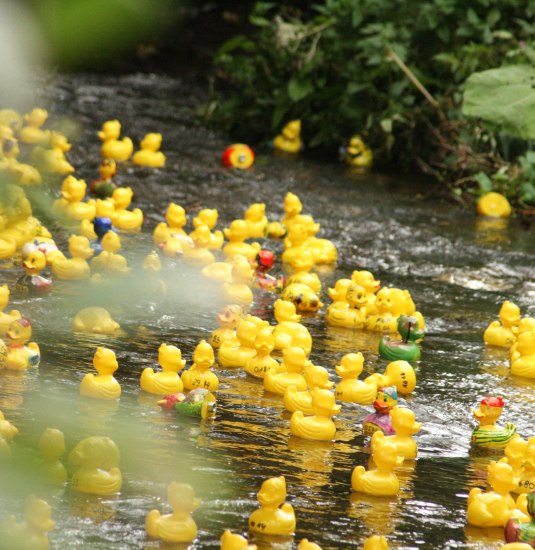 Entenrennen 2026 | &copy; Thomas Wagner