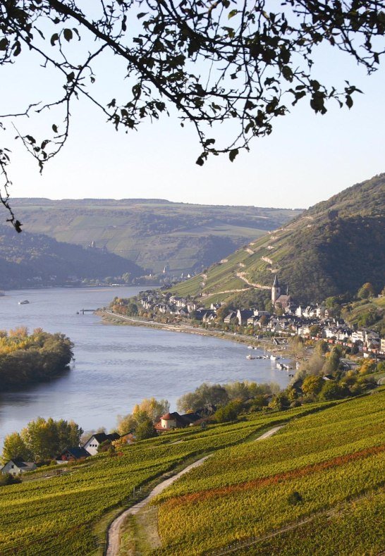 Rheingau bei Lorch | &copy; Thomas Weinsheimer