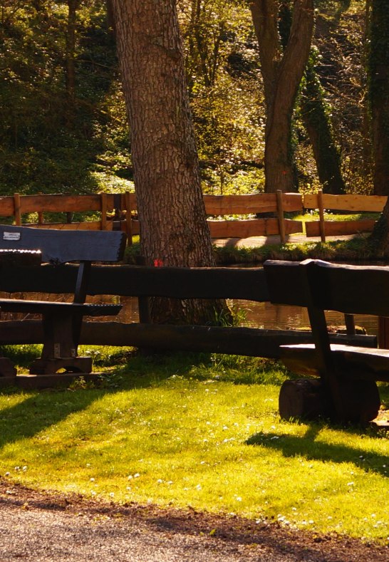 Sitzbänke | © Tourist-Information Erlebnis Rheinbogen Sitzbänke | © Tourist-Information Erlebnis Rheinbogen