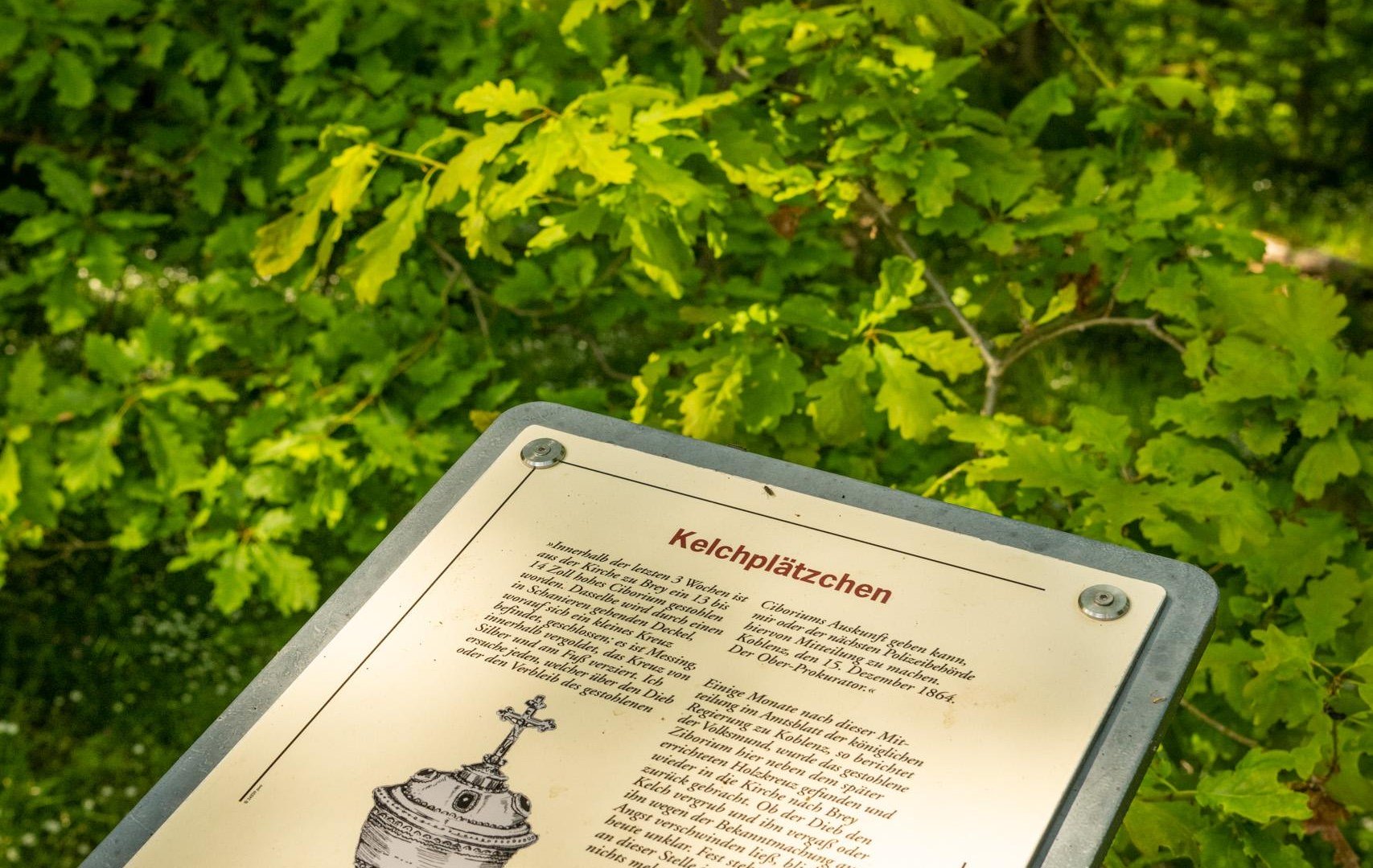 Sommer | &copy; Dominik Ketz