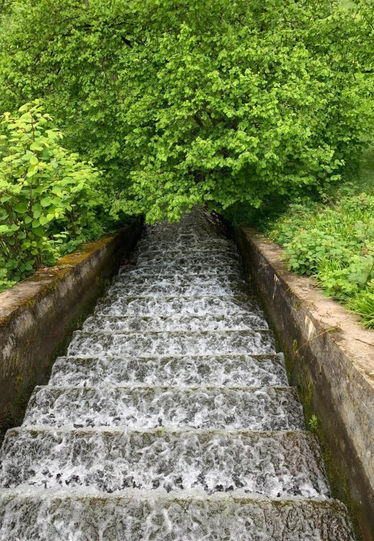 Marienberger Park 4 | © Tourist Information Boppard Marienberger Park 4 | © Tourist Information Boppard