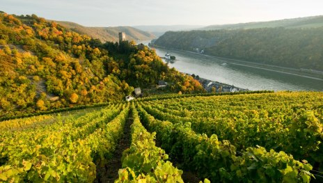 Blick auf Burg Pfalzgrafenstein | &copy; Dominik Ketz