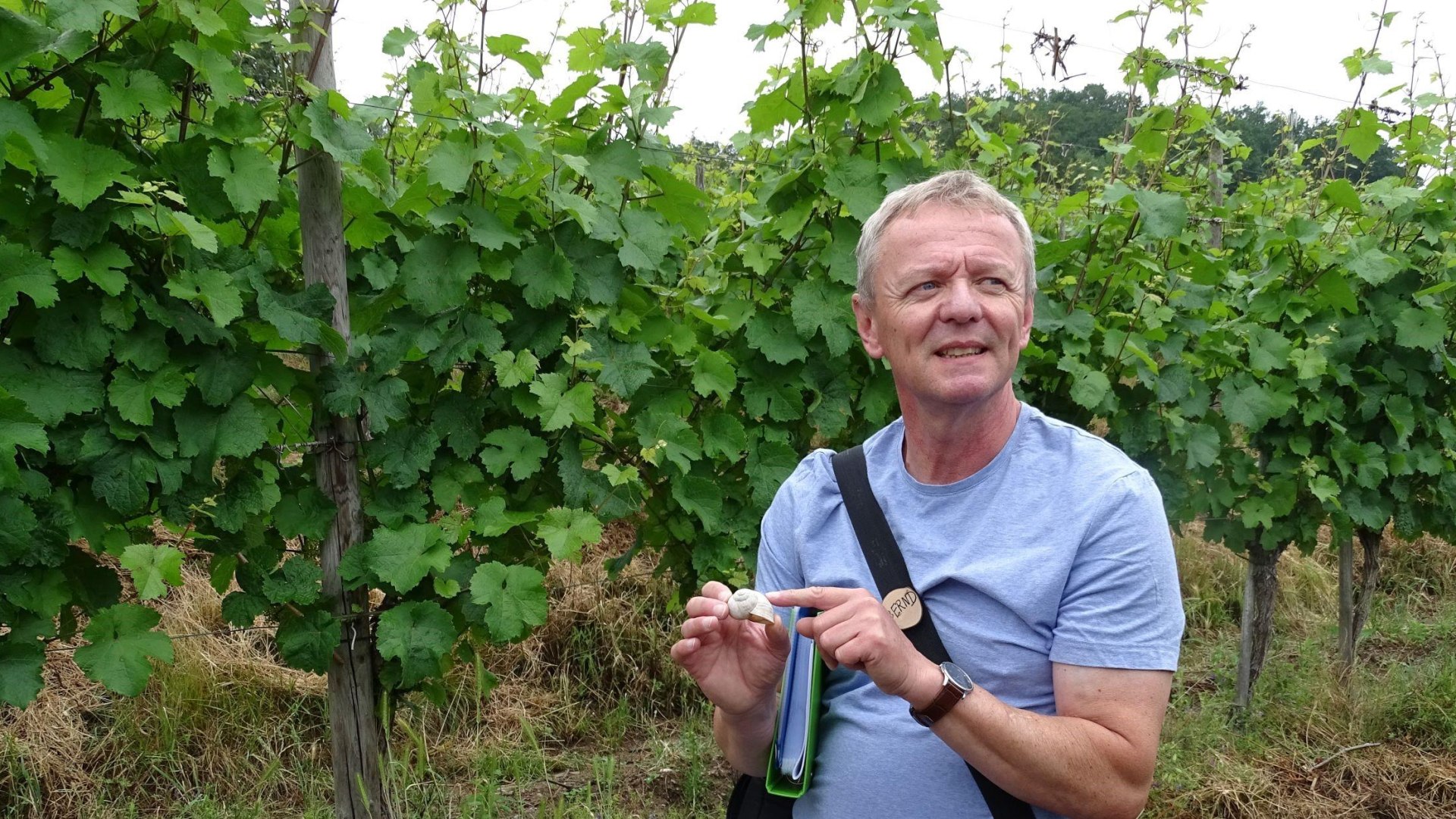 Bernd Doetsch im Weinberg | © Bernd Doetsch