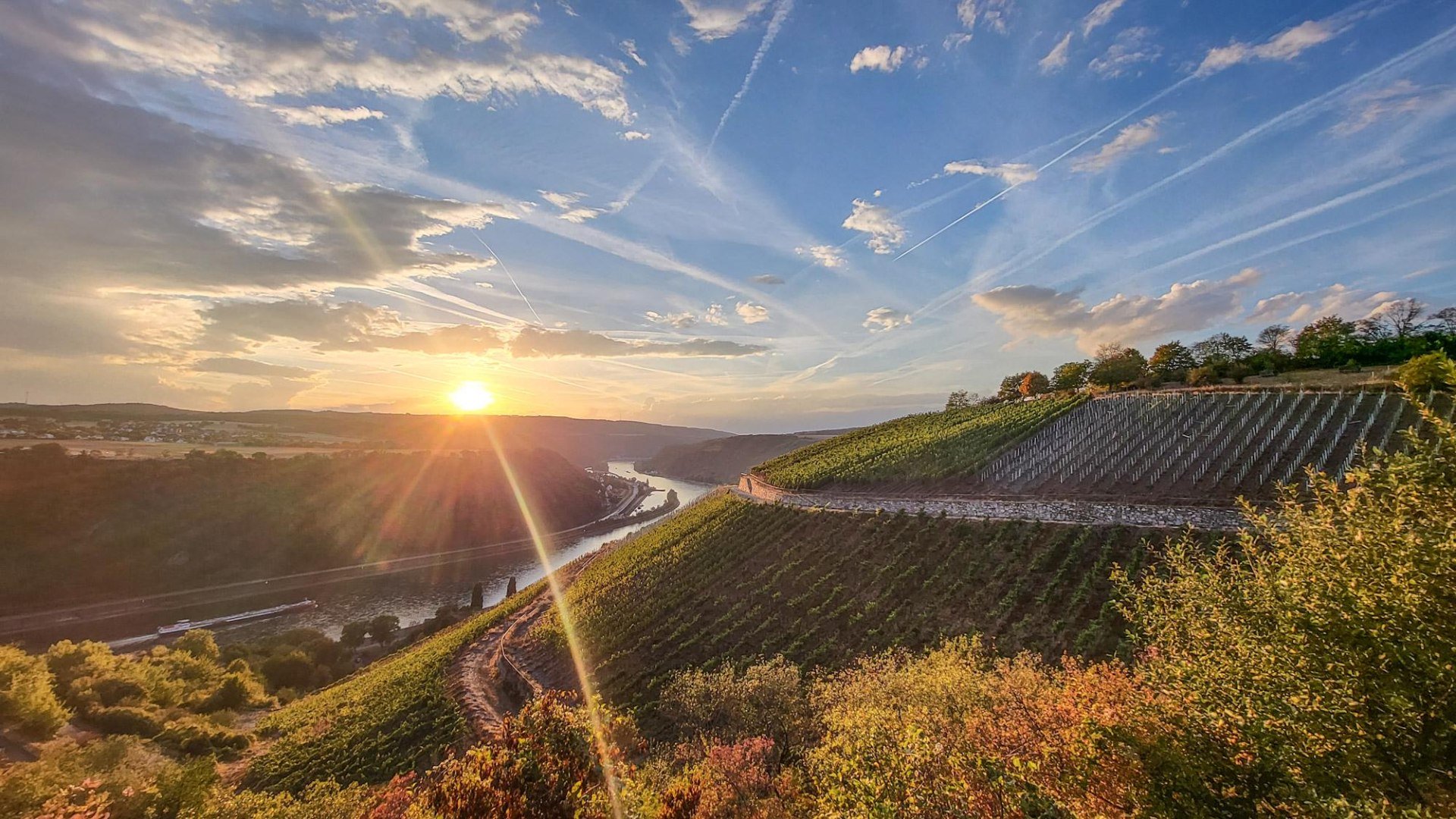 Weinberge Nochern | © Wolfgang Kromat Weinberge Nochern | © Wolfgang Kromat