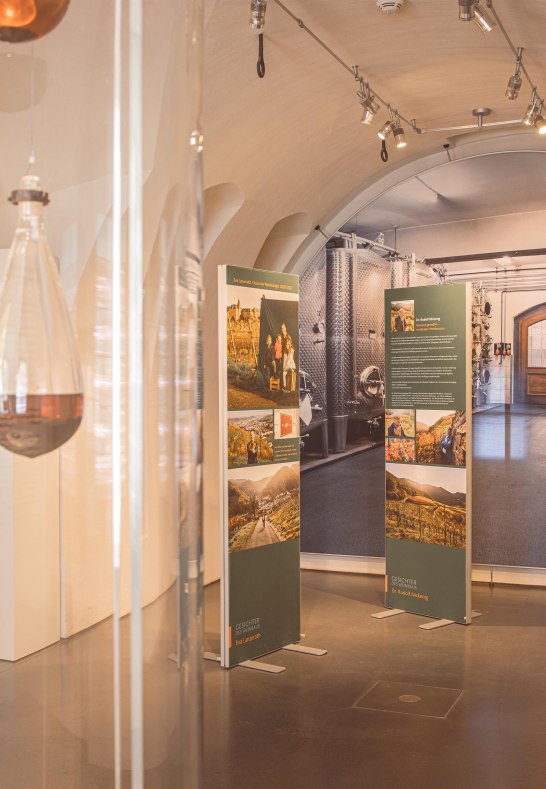 Ausstellung WeinReich im Landesmuseum Koblenz | &copy; GDKE, Johannes Bruchhof