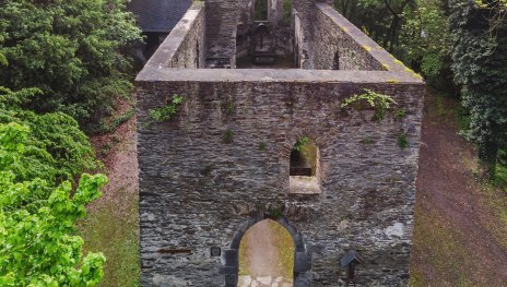 Ruine Hausenborn | &copy; Andreas Pacek, Touristik-Verband Wiedtal e.V.