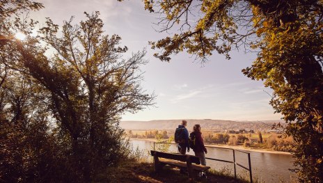 Blick auf den Rhein | © Marco Rothbrust, Romantischer Rhein Tourismus GmbH