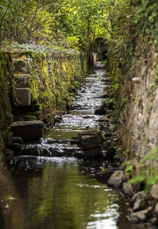 Kisselbach | © Sven Moschitz