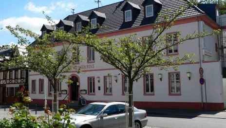 My My | &copy; Leistungstr&auml;ger Weisses Ro&szlig;