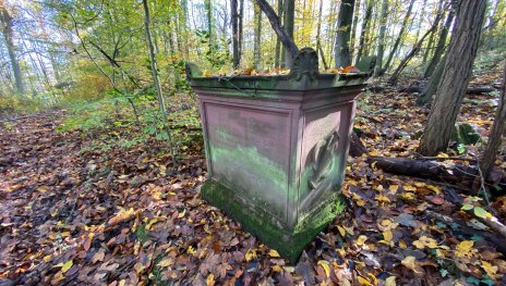 Der Goethestein im Wald oberhalb von Rolandseck. | &copy; Tourist-Information Remagen, Mittelrhein