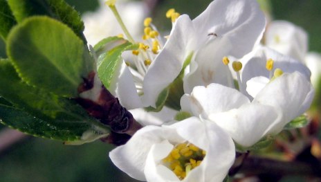 Wein | © Weingut Lorenz Wein | © Weingut Lorenz