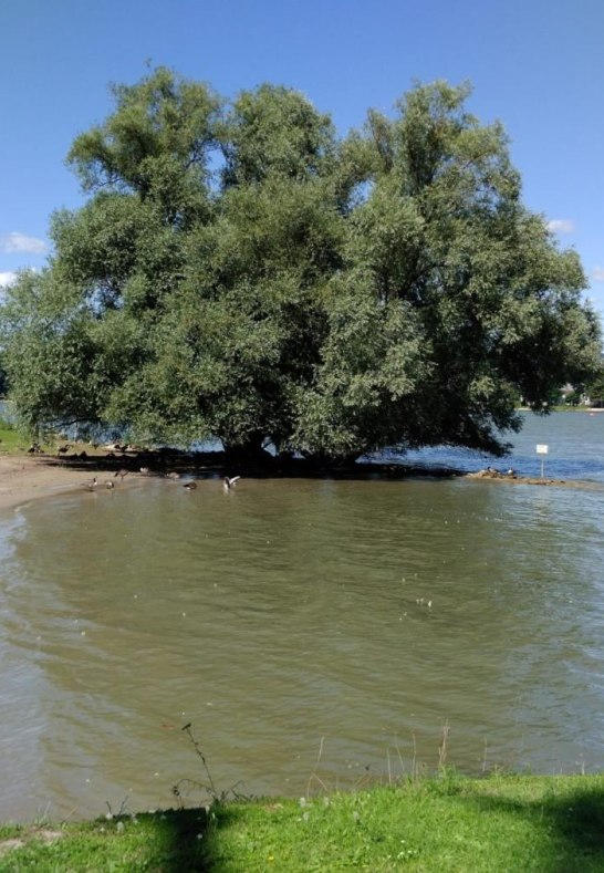 Rettbergsaue_4 | &copy; https://campingfreunde-rettbergsau.de/