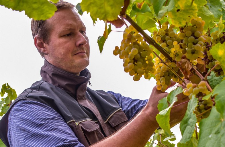 Weingut Kurt Bug | © Yvonne Bug Weingut Kurt Bug | © Yvonne Bug