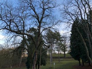 Park | © Tourist Information Boppard Park | © Tourist Information Boppard