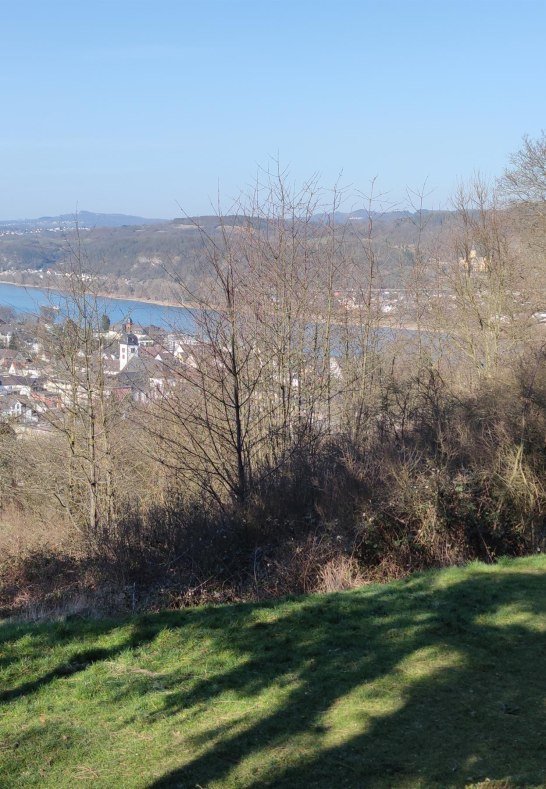 Aussicht Fichtelh&uuml;tte mit Schuakel | &copy; Tourist-Information Bad Breisig