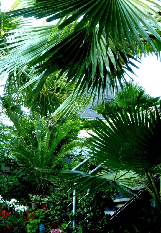 Garten 3 | &copy; Familie Volk