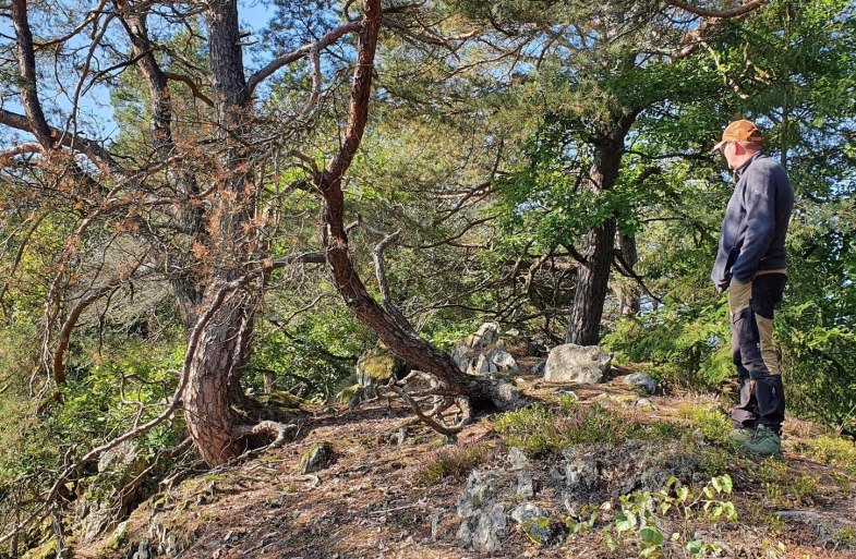 Wanderwarte am Kleinmödersnack | © T. Biersch Wanderwarte am Kleinmödersnack | © T. Biersch