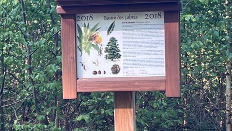 Tafel an Waldlehrpfad | &copy; Holger Klemm, Romantischer Rhein Tourismus GmbH