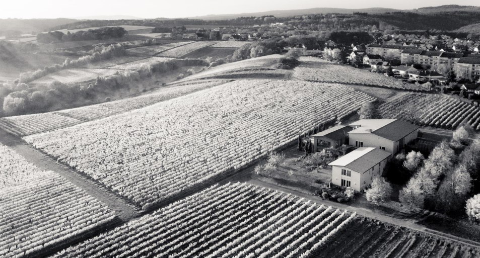 Luftbild Weingut Freimuth | &copy; Weingut Freimuth