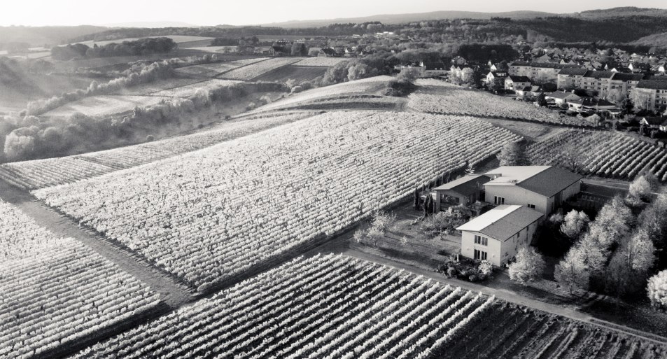 Weingut Freimuth* | © Weingut Freimuth Weingut Freimuth* | © Weingut Freimuth