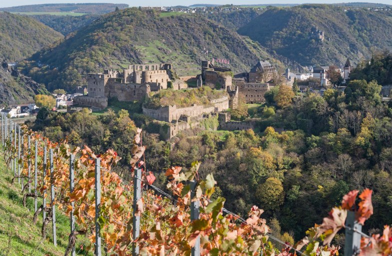 Rheinfels im Herbst | &copy; Andreas Pacek, fototour-deutschland.de