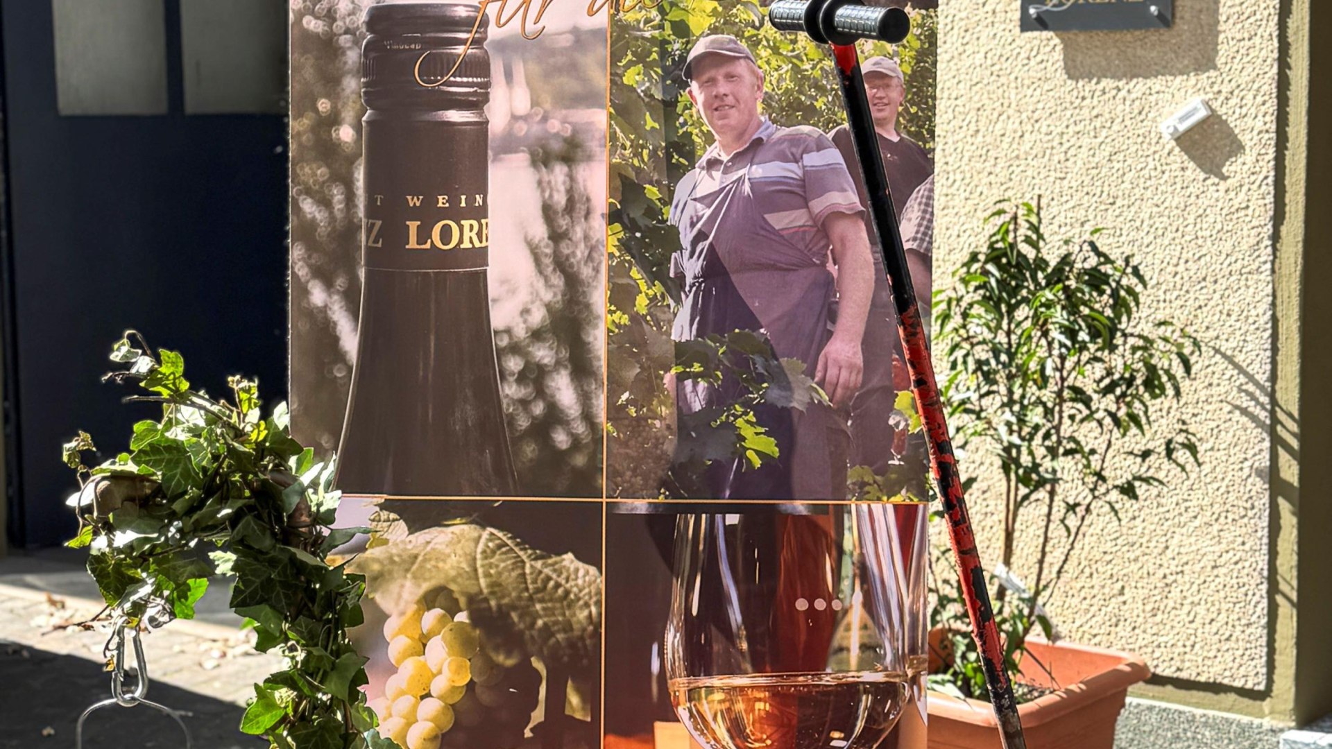 Wein | © Weingut Lorenz Wein | © Weingut Lorenz