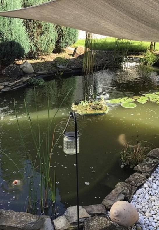 Koiteich | &copy; Dillenberger