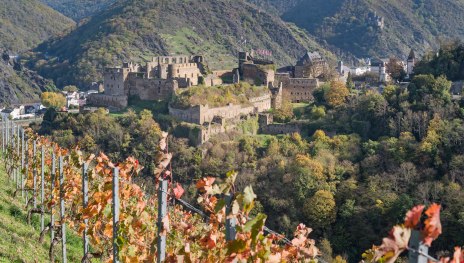 Rheinfels im Herbst | © Andreas Pacek, fototour-deutschland.de Rheinfels im Herbst | © Andreas Pacek, fototour-deutschland.de