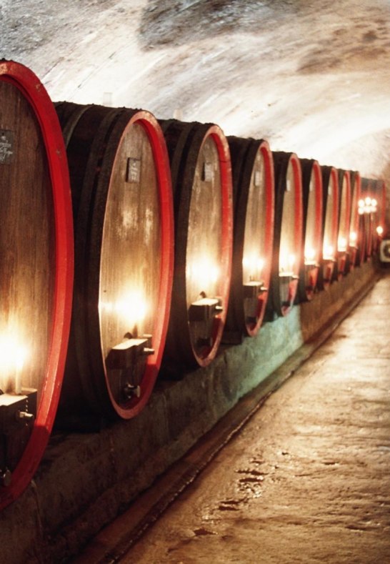Weingut Lanius-Knab_Gewoelbekeller_Fuehrung_Weinpr | © Lanius-Knab Weingut Lanius-Knab_Gewoelbekeller_Fuehrung_Weinpr | © Lanius-Knab