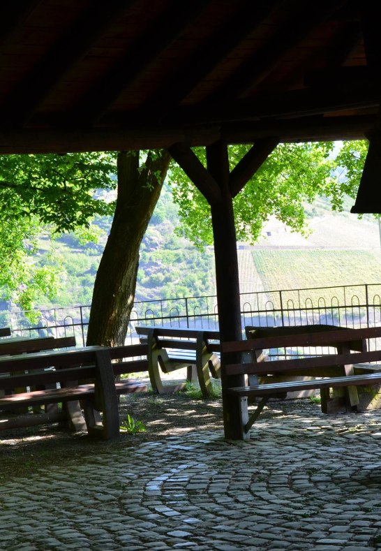 Sauzahn 3 | © Tourist-Information Oberwesel Sauzahn 3 | © Tourist-Information Oberwesel