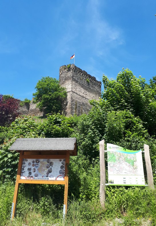 Burg mit Infotafeln | © Romantischer Rhein Tourismus GmbH
