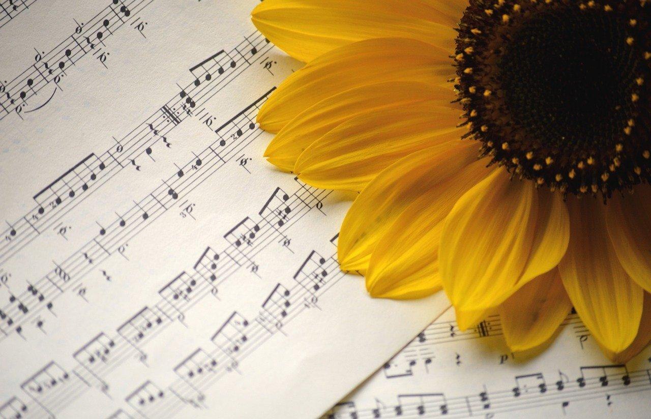 Konzert | &copy; Pixabay