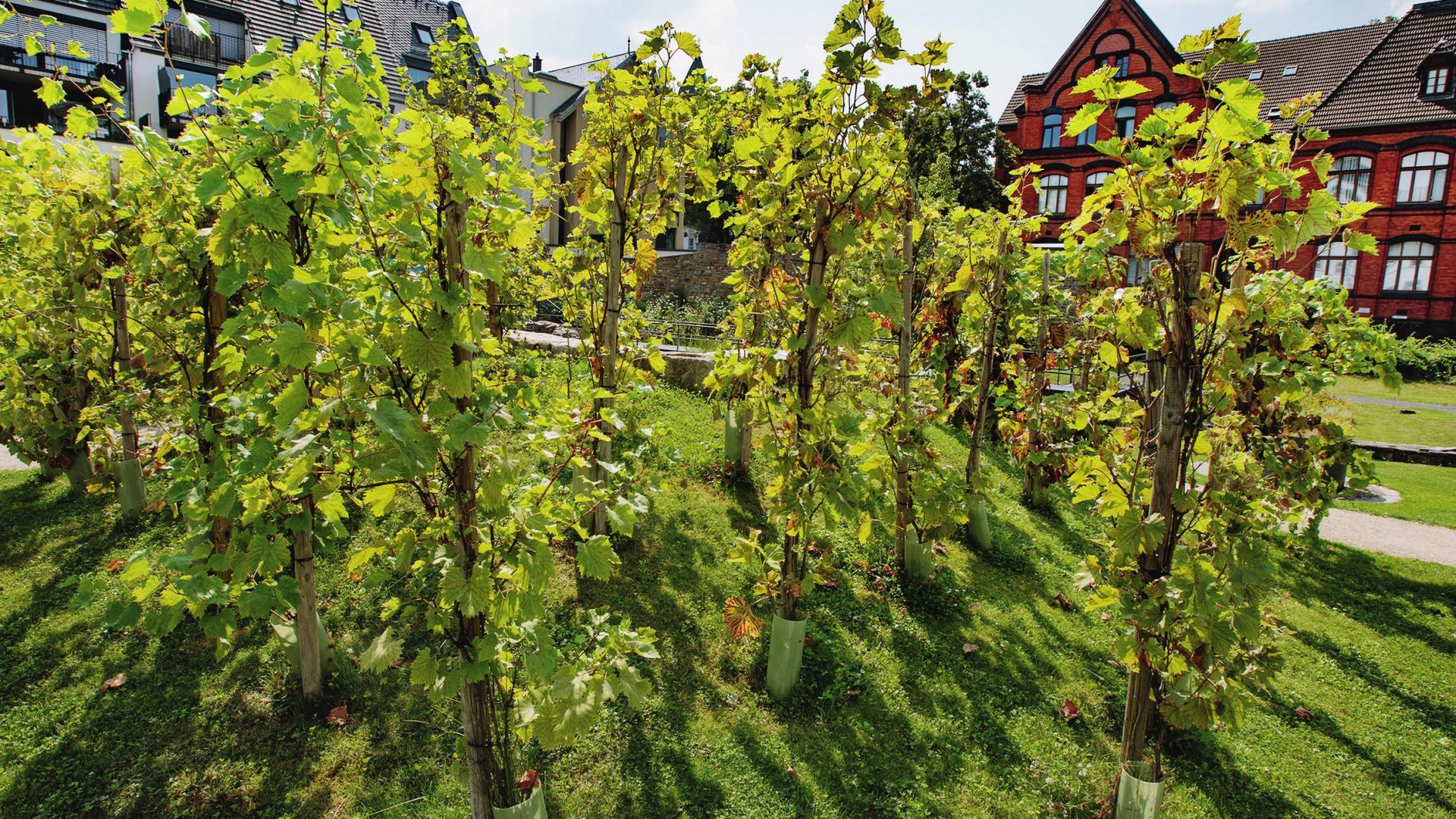 Historischer Garten 01 | © Petra Steinbacher / Stadtberatung Dr. Fries Historischer Garten 01 | © Petra Steinbacher / Stadtberatung Dr. Fries