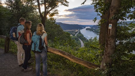 Ausblicke ins Rheintal | &copy; Klaus-Peter Kappest, Traumpfade im Rhein-Mosel-Eifel-Land