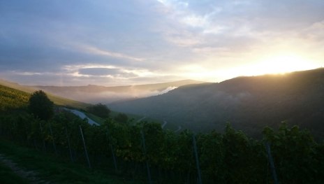 Sonnenaufgang &uuml;ber Oberheimbach | &copy; Gerhard Jost, Gerhard Jost