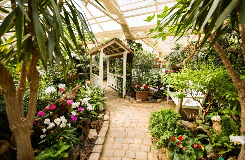 Garten der Schmetterlinge_ | © Henry Tornow/Romantischer Rhein Tourismus GmbH Garten der Schmetterlinge_ | © Henry Tornow/Romantischer Rhein Tourismus GmbH