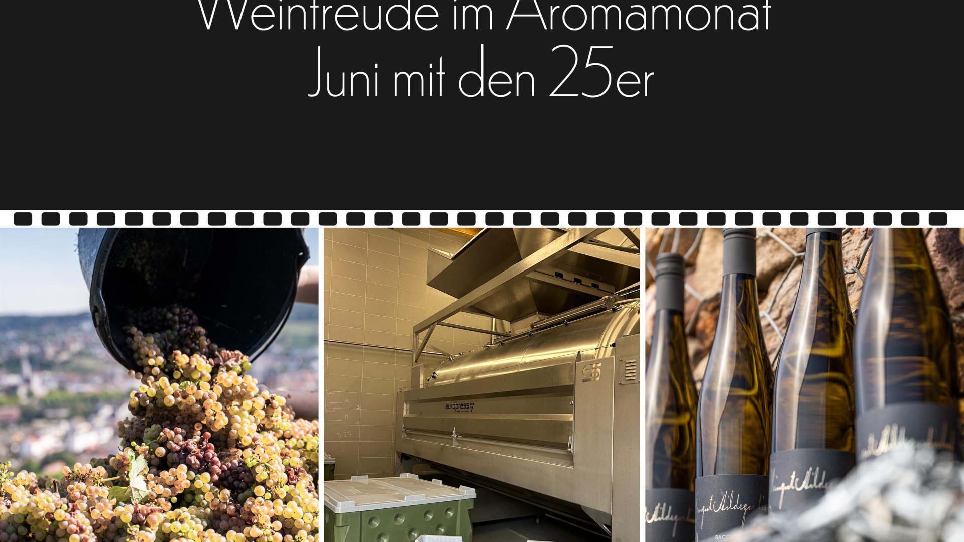 Drehpunkt1 | © Weingut Hildegardishof Drehpunkt1 | © Weingut Hildegardishof