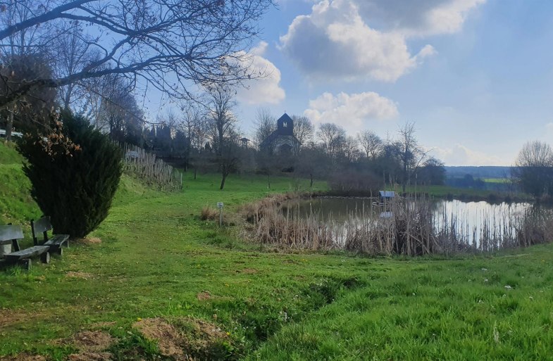 Teich am Simmerbach | &copy; T. Biersch