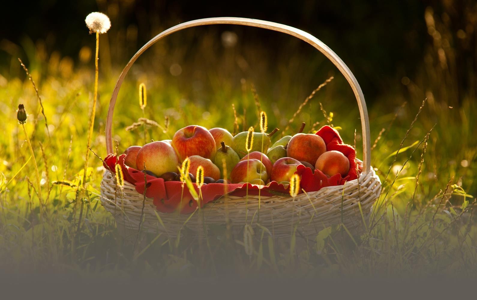 Obstkorb | &copy; &copy;Klaus Peter Kappest/Verbandsgemeinde Wei&szlig;enthurm