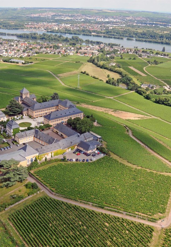 Schloss Johannisberg Luftaufnahme | © JWG Johannisberger Weinvertrieb KG Schloss Johannisberg Luftaufnahme | © JWG Johannisberger Weinvertrieb KG