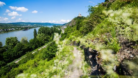 Blick in Richtung Braubach mit Marksburg | &copy; Henry Tornow, Romantischer Rhein Tourismus GmbH
