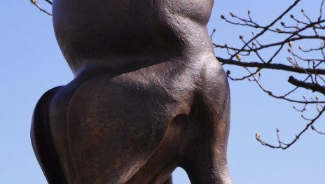 Freiheits-Wutz | &copy; B. Vogt