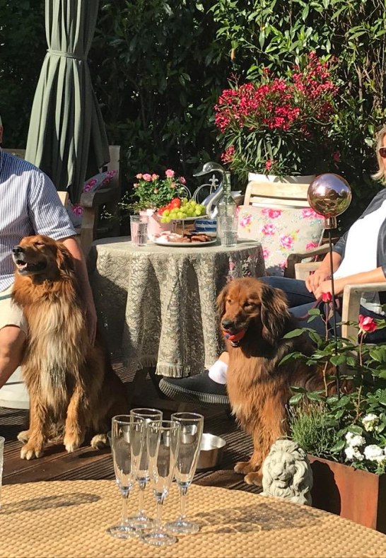 Britain 11 | &copy; Erik Spilles, Tourist-Information der Stadt Linz am Rhein